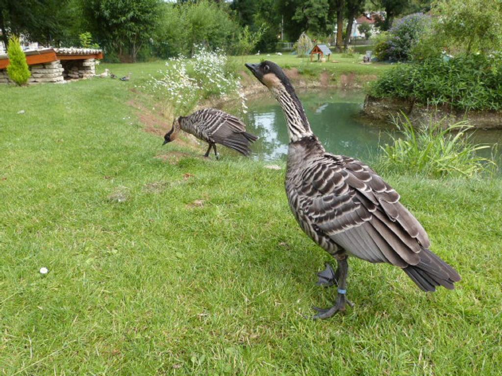 Вилла Le Bocard Thonnance-les-Joinville Экстерьер фото