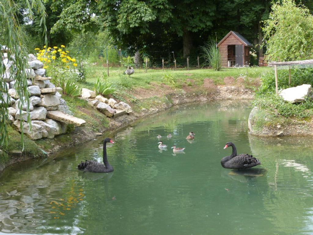 Вилла Le Bocard Thonnance-les-Joinville Экстерьер фото